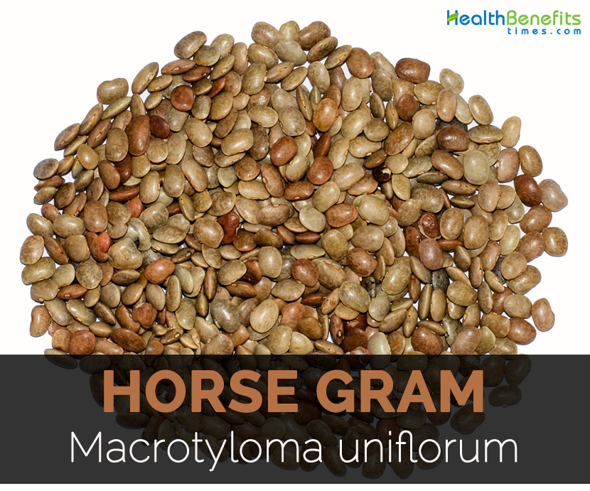 Horse Gram Whole 1kg (Kulith Sabud)