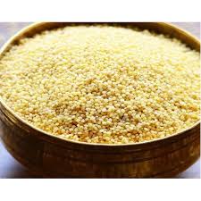 Italian Millet 500 g (Thinai)