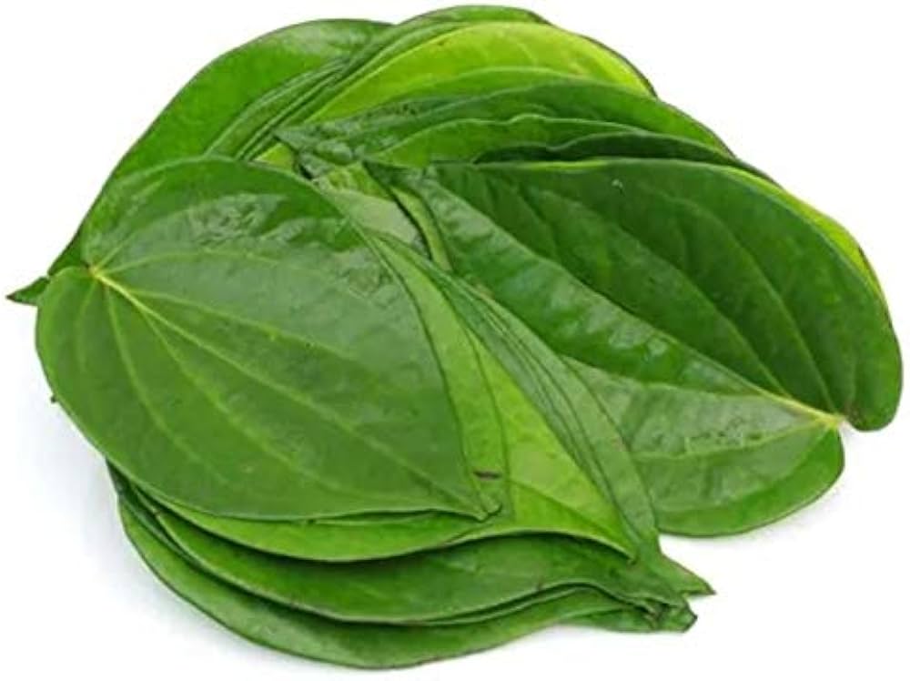 Fresh Betel Leaves 1 Piece